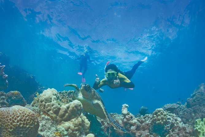Whitsunday Islands Sail, SUP & Snorkel Tour- Small group - SUPs, clear-bottom kayaks, and a swim