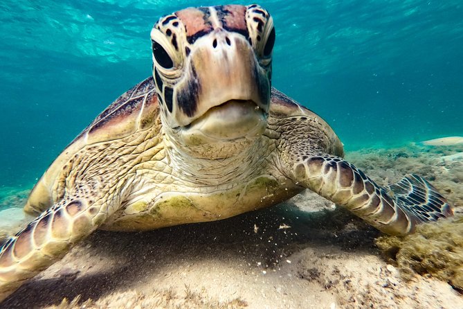 Whitsunday Islands Sail, SUP & Snorkel Tour- Small group - What is not included, and what you will not see