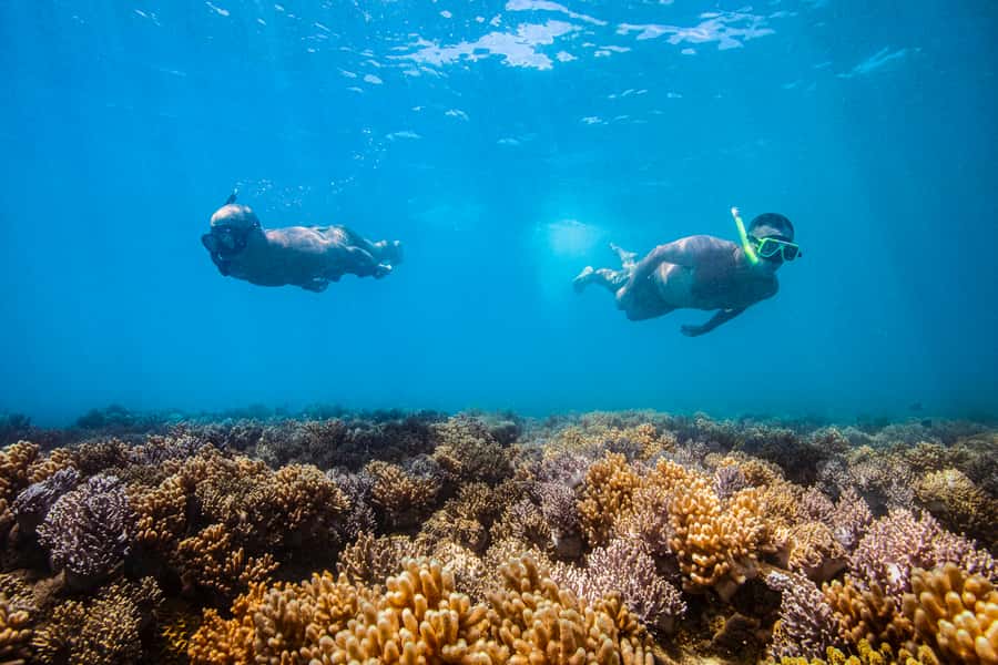 Whitsundays Sailing & Snorkelling Day Tour – All Inclusive - Free time without a packed schedule