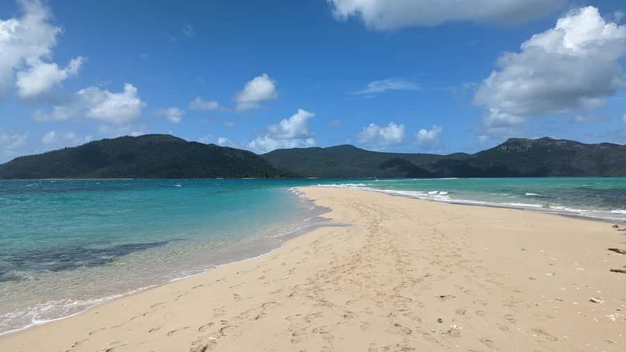 Whitsundays Sailing & Snorkelling Day Tour – All Inclusive - Food, drinks, and what to pack