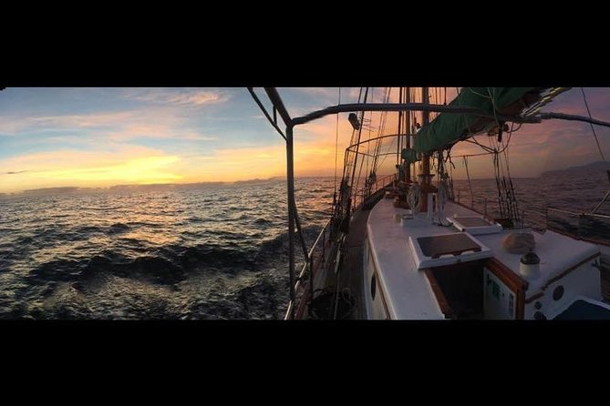 Whitsundays Sunset Sailing Cruise - Sparkling wine, snacks, and the social side